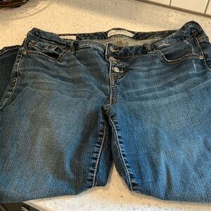 Torrid skinny capris